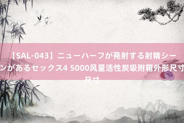 【SAL-043】ニューハーフが発射する射精シーンがあるセックス4 5000风量活性炭吸附箱外形尺寸