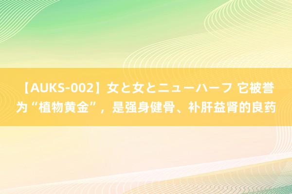 【AUKS-002】女と女とニューハーフ 它被誉为“植物黄金”，是强身健骨、补肝益肾的良药