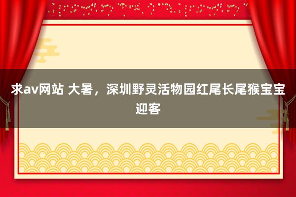 求av网站 大暑，深圳野灵活物园红尾长尾猴宝宝迎客