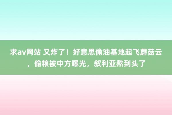 求av网站 又炸了！好意思偷油基地起飞蘑菇云，偷粮被中方曝光，叙利亚熬到头了