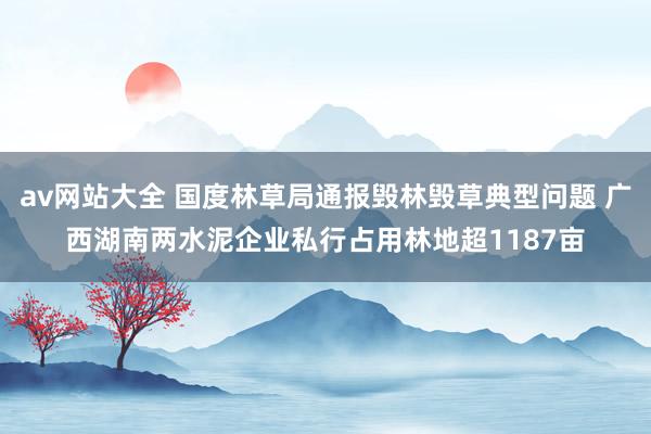 av网站大全 国度林草局通报毁林毁草典型问题 广西湖南两水泥企业私行占用林地超1187亩