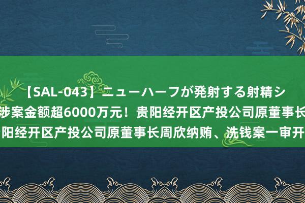 【SAL-043】ニューハーフが発射する射精シーンがあるセックス4 涉案金额超6000万元！贵阳经开区产投公司原董事长周欣纳贿、洗钱案一审开庭