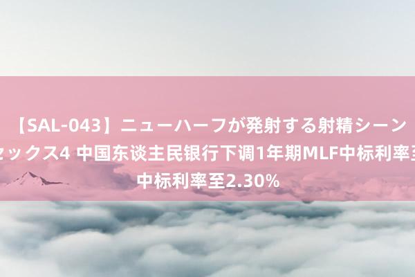 【SAL-043】ニューハーフが発射する射精シーンがあるセックス4 中国东谈主民银行下调1年期MLF中标利率至2.30%