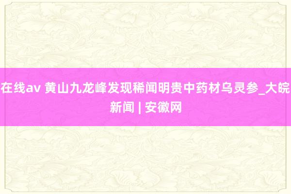 在线av 黄山九龙峰发现稀闻明贵中药材乌灵参_大皖新闻 | 安徽网