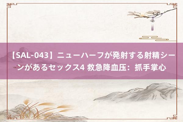 【SAL-043】ニューハーフが発射する射精シーンがあるセックス4 救急降血压：抓手掌心