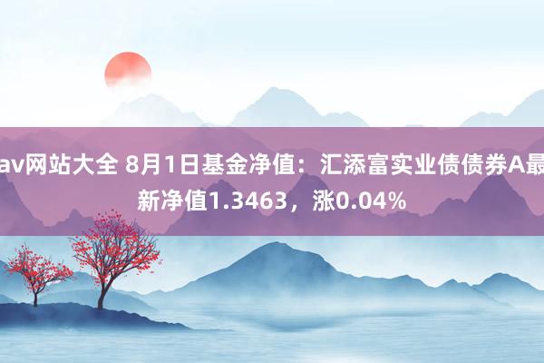 av网站大全 8月1日基金净值：汇添富实业债债券A最新净值1.3463，涨0.04%