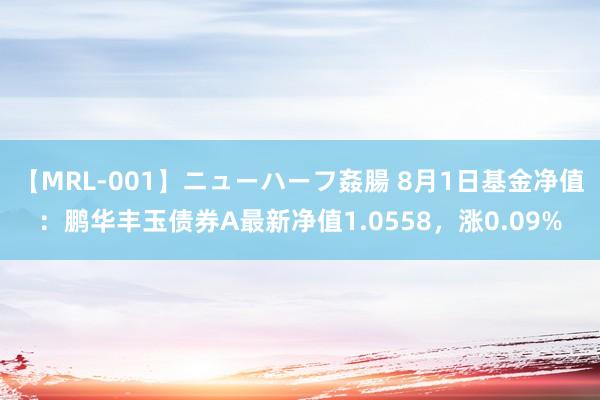 【MRL-001】ニューハーフ姦腸 8月1日基金净值：鹏华丰玉债券A最新净值1.0558，涨0.09%