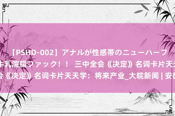 【PSHD-002】アナルが性感帯のニューハーフ美女が泣くまでやめない牛乳浣腸ファック！！ 三中全会《决定》名词卡片天天学：将来产业_大皖新闻 | 安徽网