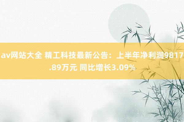 av网站大全 精工科技最新公告：上半年净利润9817.89万元 同比增长3.09%