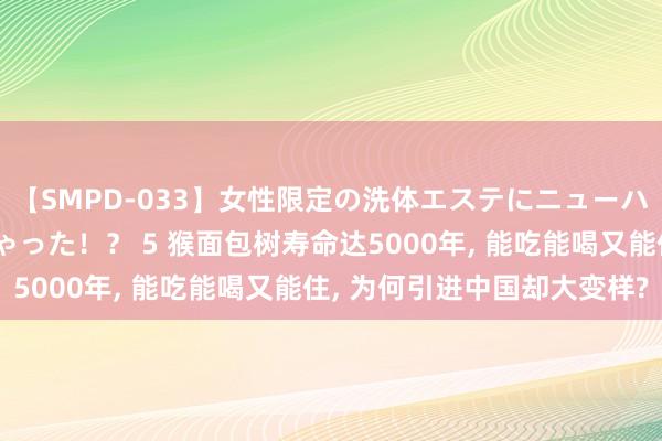 【SMPD-033】女性限定の洗体エステにニューハーフのお客さんが来ちゃった！？ 5 猴面包树寿命达5000年， 能吃能喝又能住， 为何引进中国却大变样?