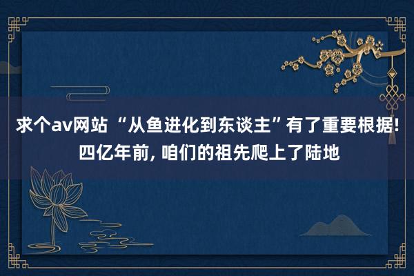 求个av网站 “从鱼进化到东谈主”有了重要根据! 四亿年前， 咱们的祖先爬上了陆地