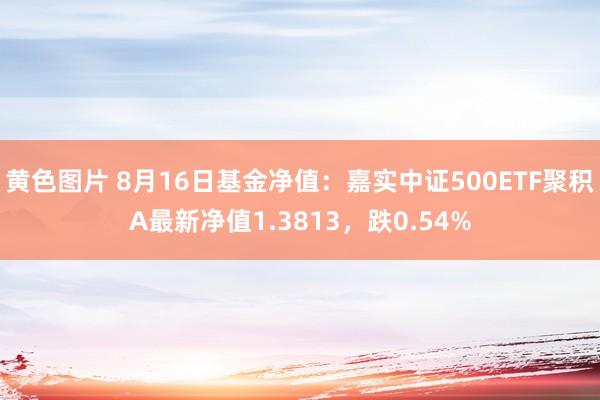 黄色图片 8月16日基金净值：嘉实中证500ETF聚积A最新净值1.3813，跌0.54%