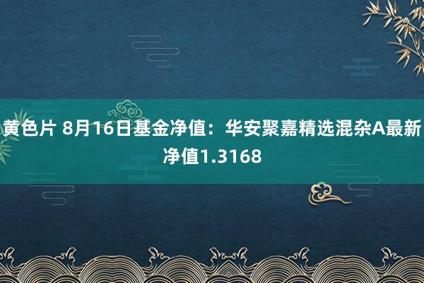 黄色片 8月16日基金净值：华安聚嘉精选混杂A最新净值1.3168