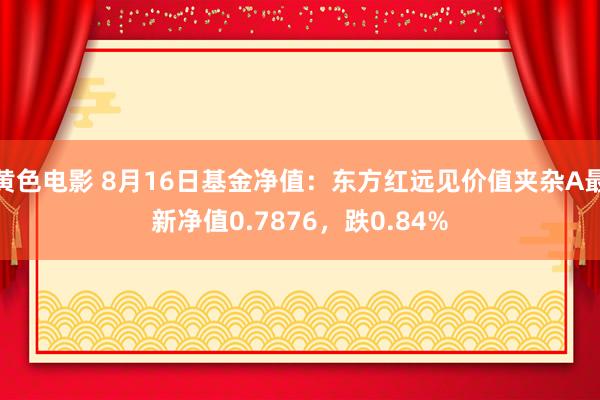 黄色电影 8月16日基金净值：东方红远见价值夹杂A最新净值0.7876，跌0.84%