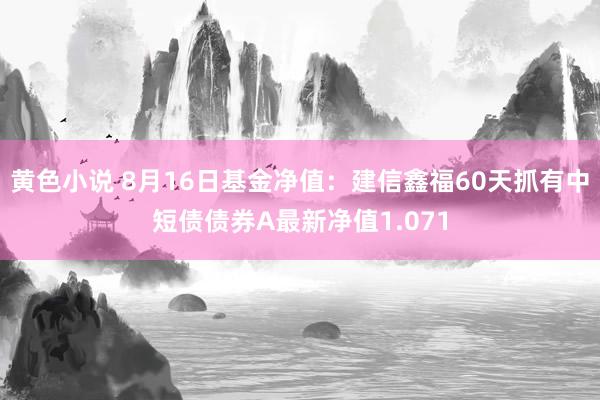 黄色小说 8月16日基金净值：建信鑫福60天抓有中短债债券A最新净值1.071