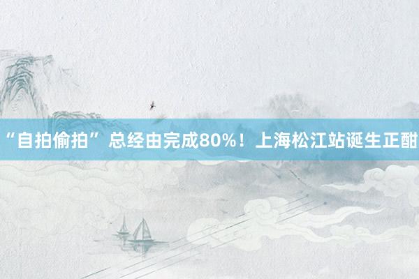 “自拍偷拍” 总经由完成80%！上海松江站诞生正酣