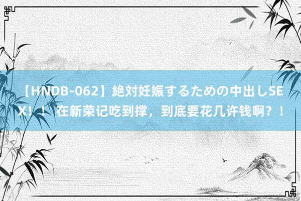 【HNDB-062】絶対妊娠するための中出しSEX！！ 在新荣记吃到撑，到底要花几许钱啊？！