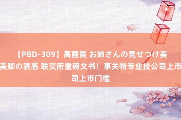 【PBD-309】高画質 お姉さんの見せつけ美尻＆美脚の誘惑 联交所重磅文书！事关特专业技公司上市门槛