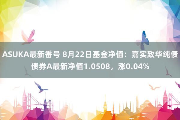 ASUKA最新番号 8月22日基金净值：嘉实致华纯债债券A最新净值1.0508，涨0.04%