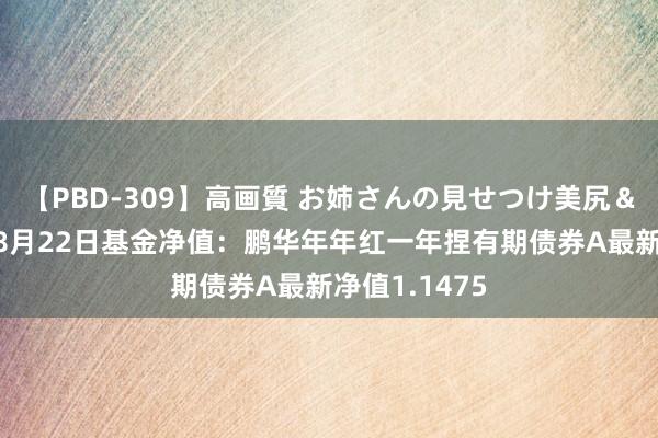 【PBD-309】高画質 お姉さんの見せつけ美尻＆美脚の誘惑 8月22日基金净值：鹏华年年红一年捏有期债券A最新净值1.1475