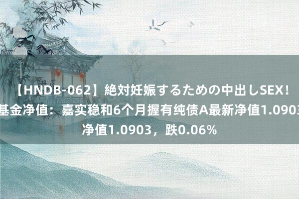 【HNDB-062】絶対妊娠するための中出しSEX！！ 8月22日基金净值：嘉实稳和6个月握有纯债A最新净值1.0903，跌0.06%