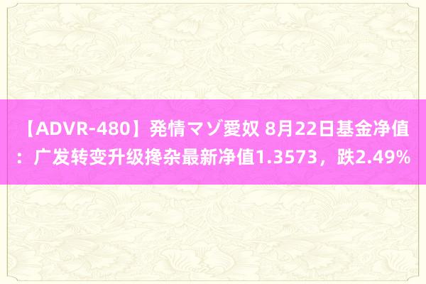 【ADVR-480】発情マゾ愛奴 8月22日基金净值：广发转变升级搀杂最新净值1.3573，跌2.49%