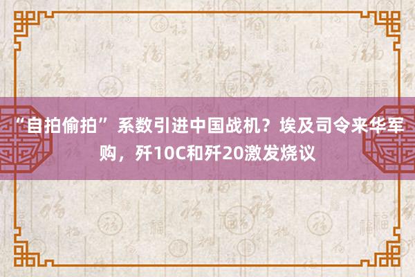 “自拍偷拍” 系数引进中国战机？埃及司令来华军购，歼10C和歼20激发烧议