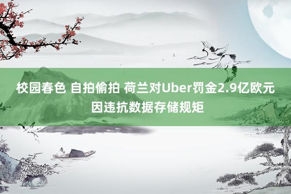 校园春色 自拍偷拍 荷兰对Uber罚金2.9亿欧元 因违抗数据存储规矩