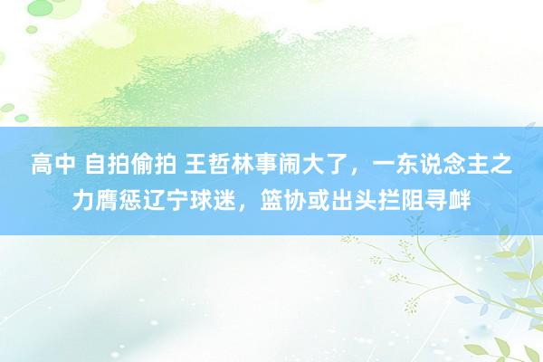 高中 自拍偷拍 王哲林事闹大了，一东说念主之力膺惩辽宁球迷，篮协或出头拦阻寻衅