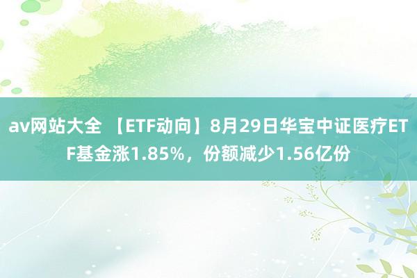 av网站大全 【ETF动向】8月29日华宝中证医疗ETF基金涨1.85%，份额减少1.56亿份