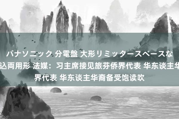 パナソニック 分電盤 大形リミッタースペースなし 露出・半埋込両用形 法媒：习主席接见旅芬侨界代表 华东谈主华裔备受饱读吹