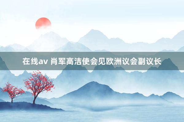 在线av 肖军高洁使会见欧洲议会副议长