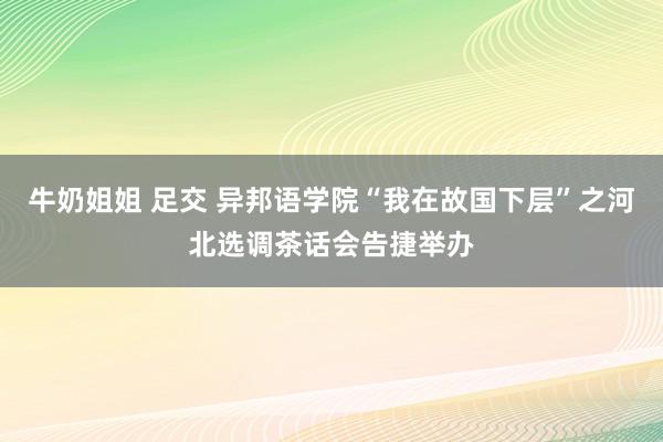 牛奶姐姐 足交 异邦语学院“我在故国下层”之河北选调茶话会告捷举办