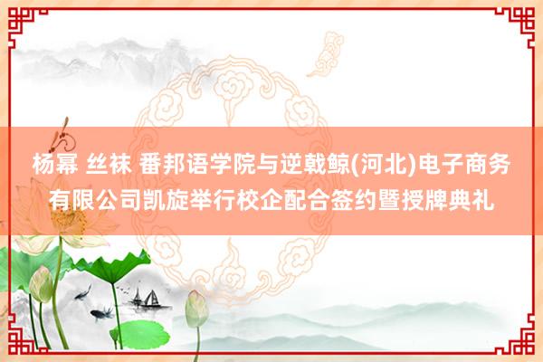 杨幂 丝袜 番邦语学院与逆戟鲸(河北)电子商务有限公司凯旋举行校企配合签约暨授牌典礼