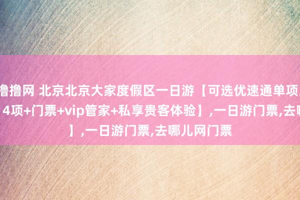 撸撸网 北京北京大家度假区一日游【可选优速通单项/3项/5项/14项+门票+vip管家+私享贵客体验】，一日游门票，去哪儿网门票