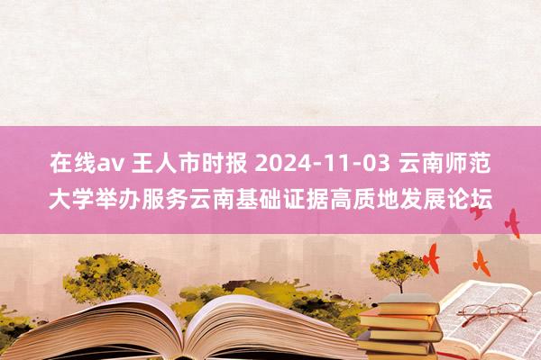 在线av 王人市时报 2024-11-03 云南师范大学举办服务云南基础证据高质地发展论坛