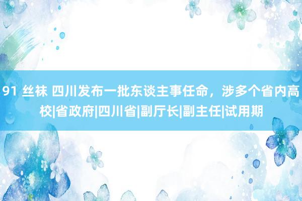 91 丝袜 四川发布一批东谈主事任命，涉多个省内高校|省政府|四川省|副厅长|副主任|试用期