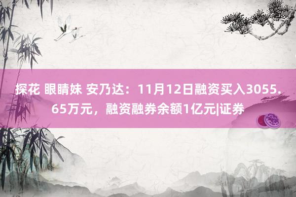 探花 眼睛妹 安乃达：11月12日融资买入3055.65万元，融资融券余额1亿元|证券