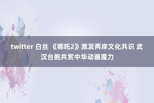 twitter 白丝 《哪吒2》激发两岸文化共识 武汉台胞共赏中华动画魔力